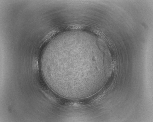 X0000116430254200912221510