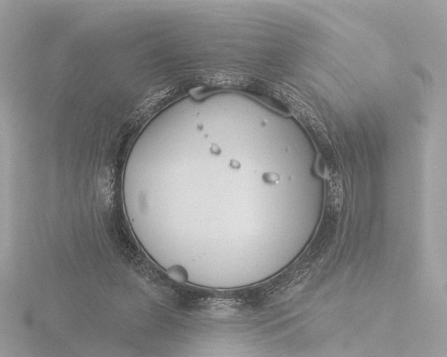 X0000116430255200912221510