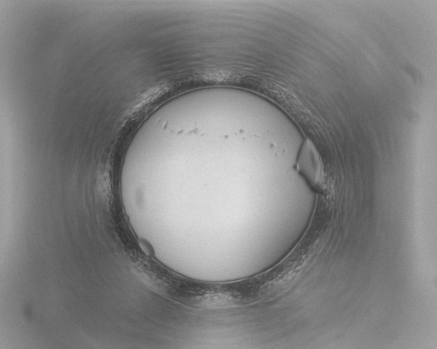 X0000116430256200912221510