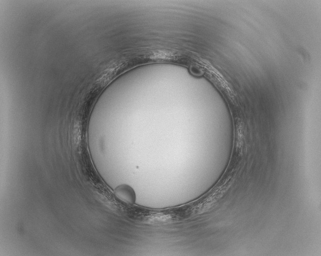 X0000116430257200912221510