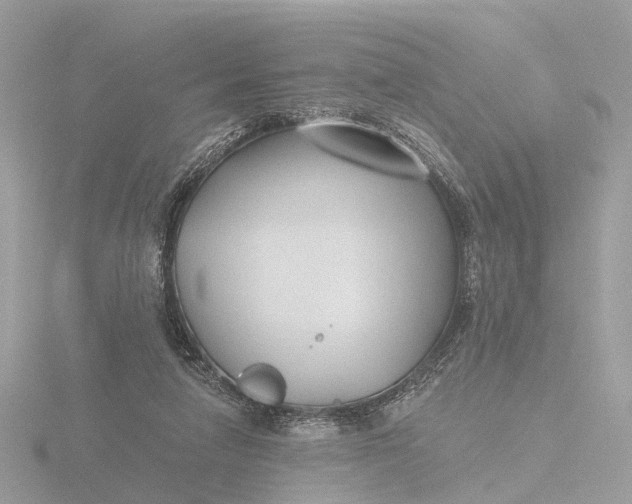 X0000116430258200912221510