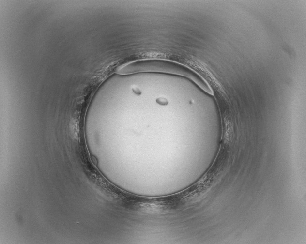 X0000116430259200912221510