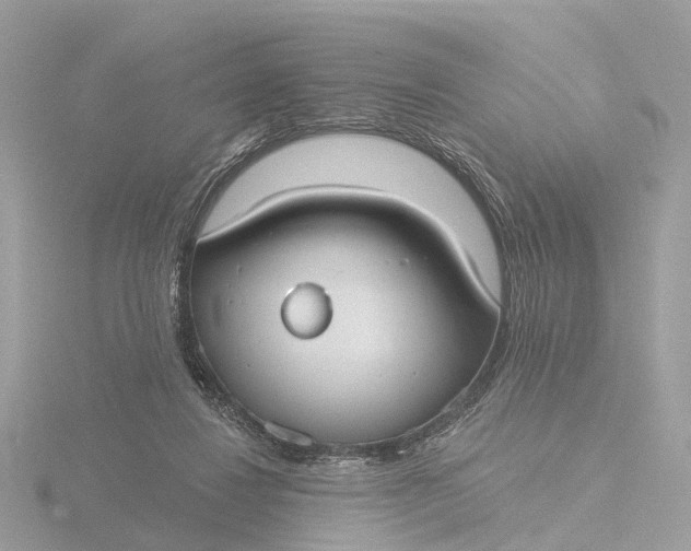 X0000116430260200912221510