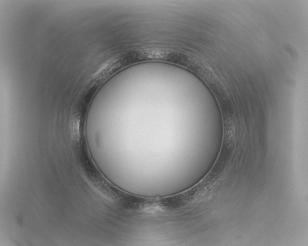 X0000116430262200912221511