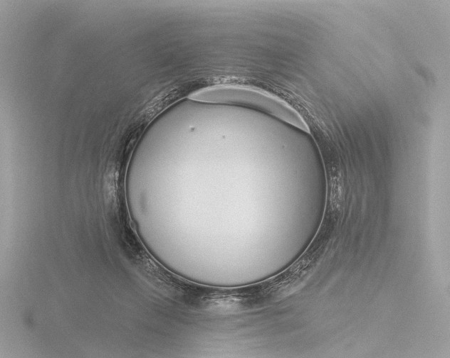 X0000116430263200912221511