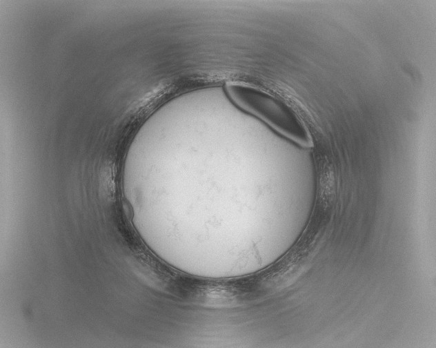 X0000116430264200912221511