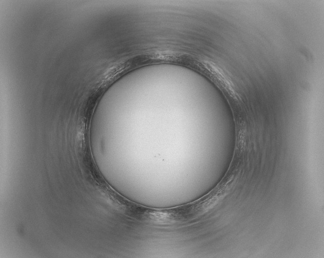 X0000116430265200912221511