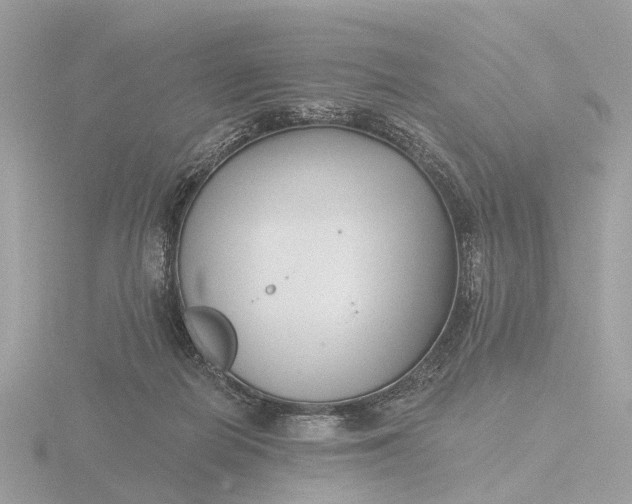 X0000116430266200912221511