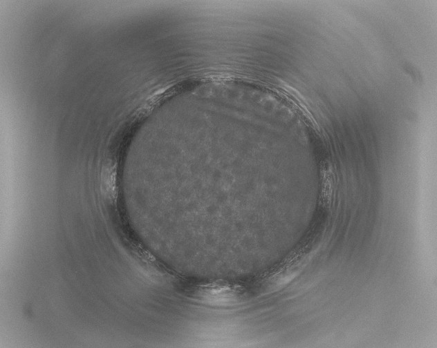 X0000116430267200912221511