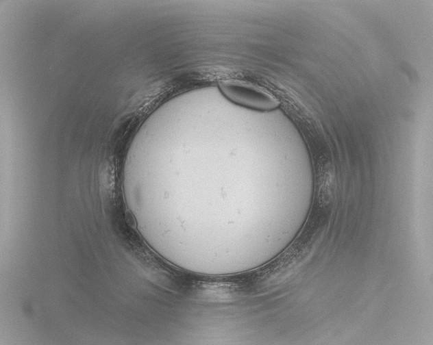 X0000116430268200912221511