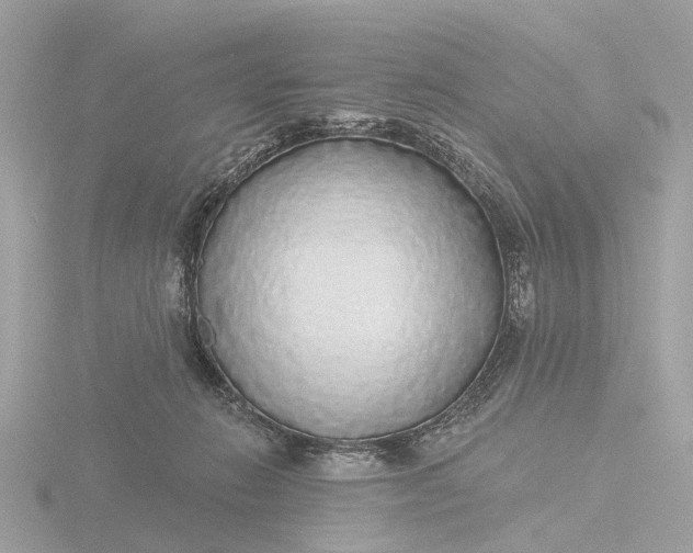 X0000116430270200912221511