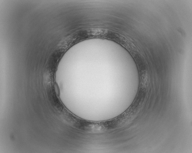 X0000116430272200912221511