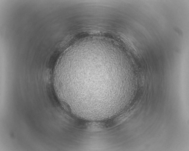 X0000116430273200912221511