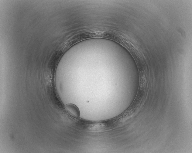 X0000116430274200912221511