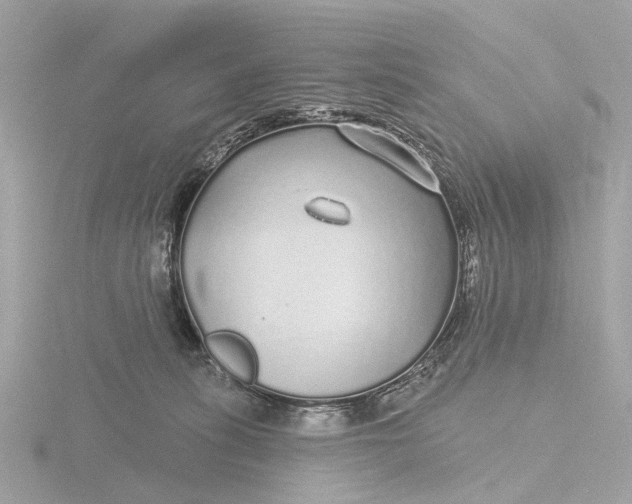 X0000116430275200912221511