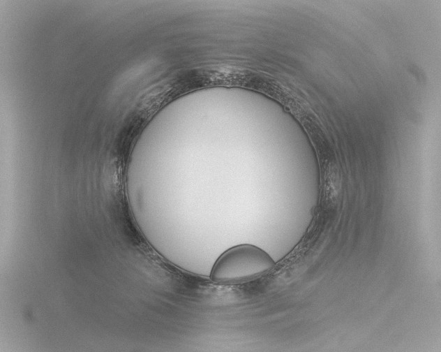 X0000116430276200912221511