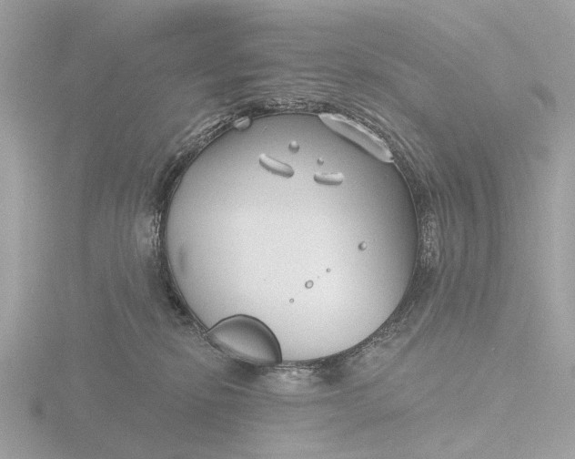 X0000116430278200912221511