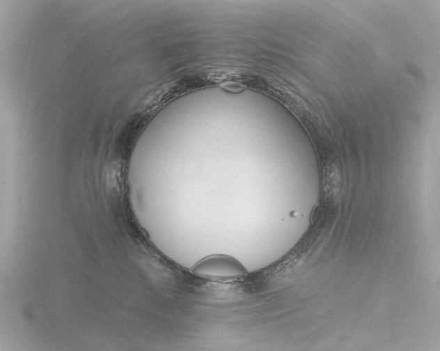 X0000116430280200912221511