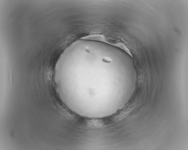 X0000116430281200912221511