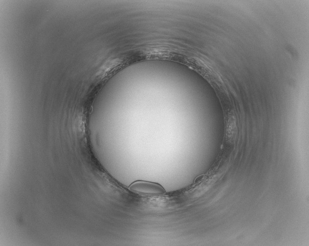 X0000116430282200912221511