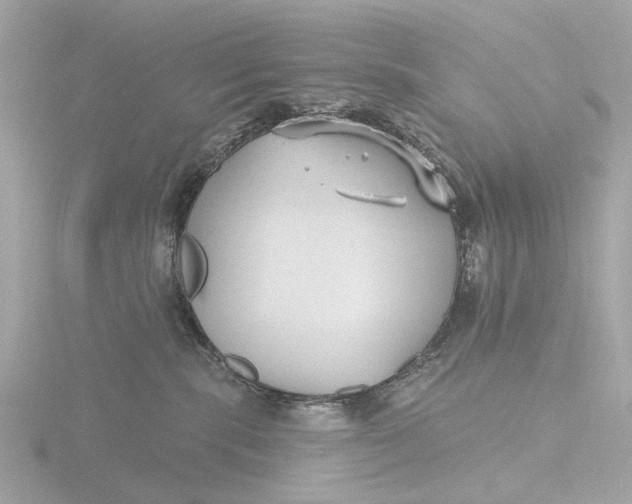 X0000116430283200912221511