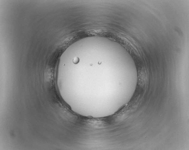 X0000116430284200912221511