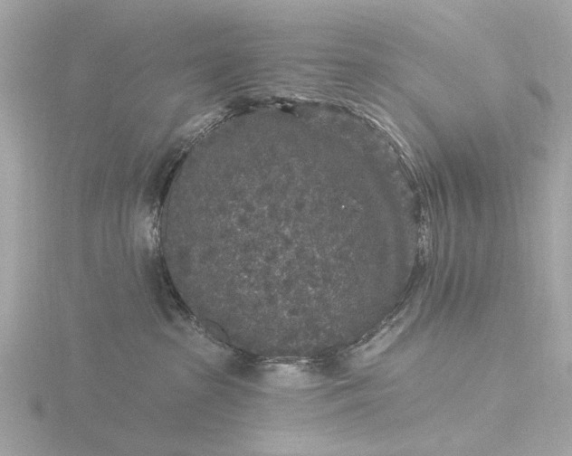 X0000116430285200912221511