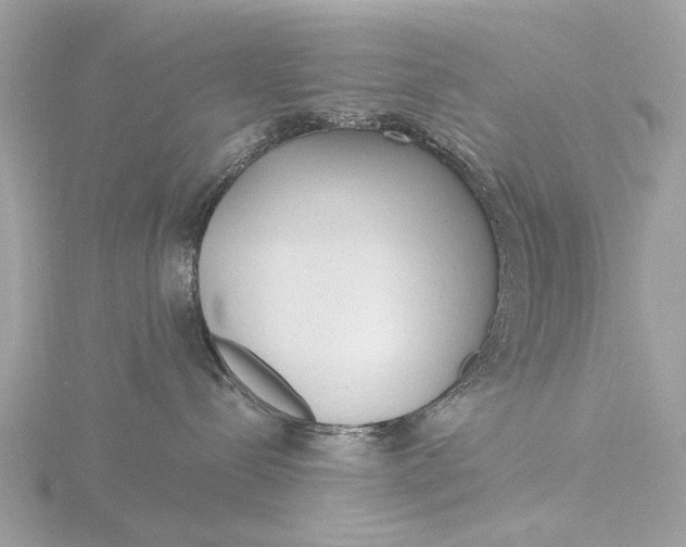 X0000116430288200912221511