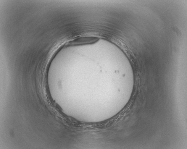 X0000116430289200912221510