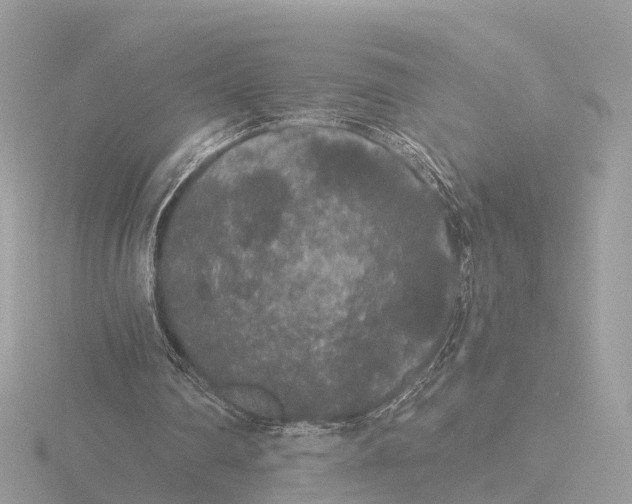 X0000116430290200912221510