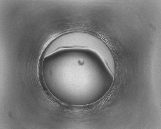 X0000116430292200912221510