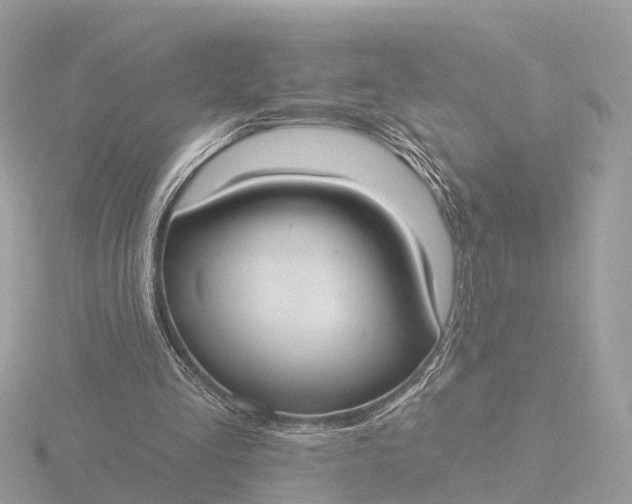 X0000116430293200912221510