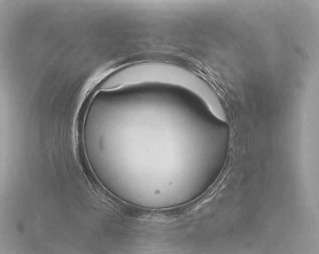 X0000116430294200912221510