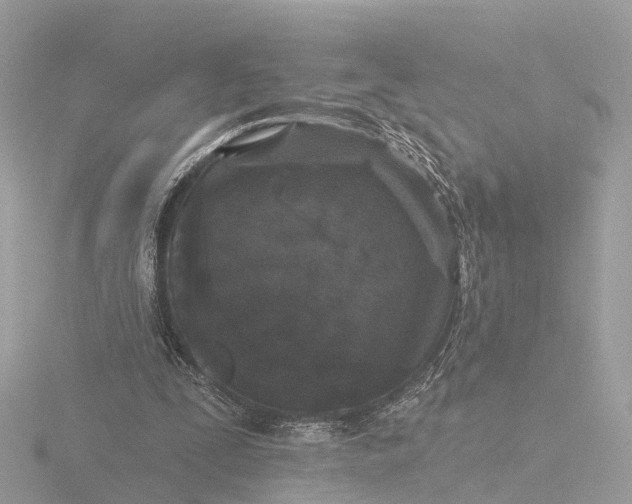 X0000116430295200912221510