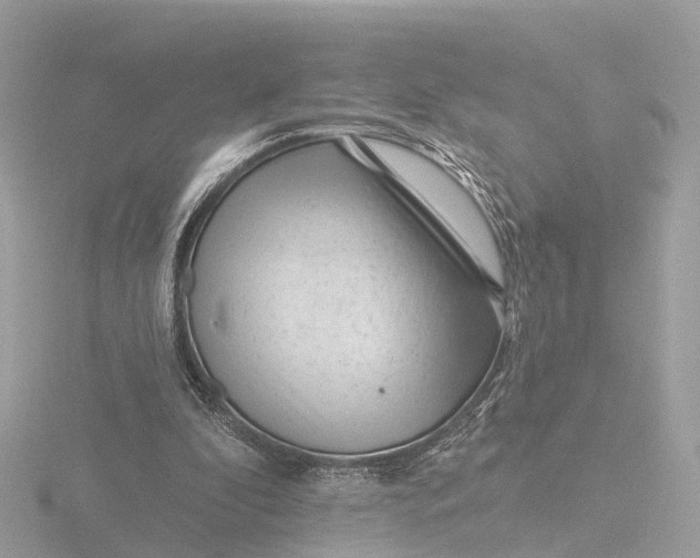 X0000116430296200912221510