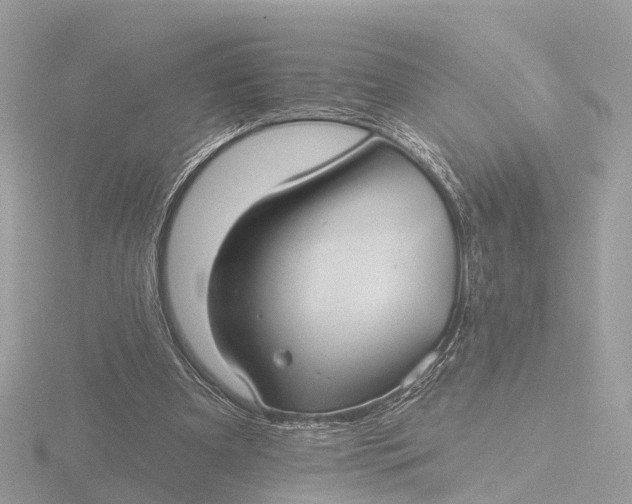 X0000116430297200912221510