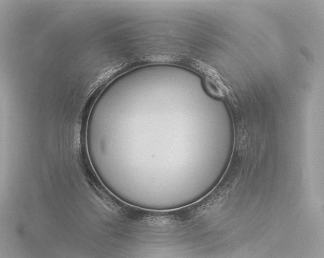 X0000116430299200912221510