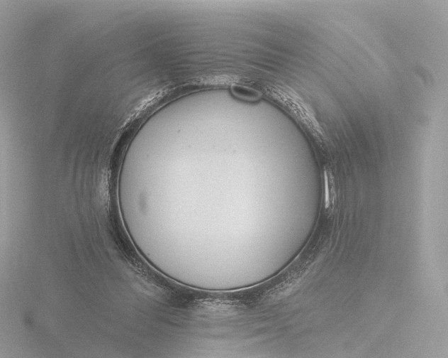 X0000116430300200912221510