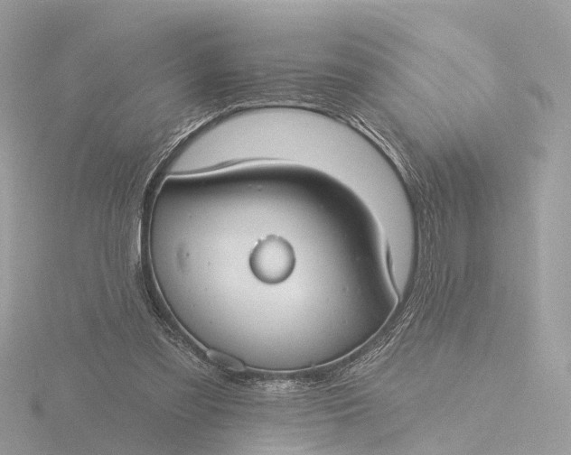 X0000116430301200912221510