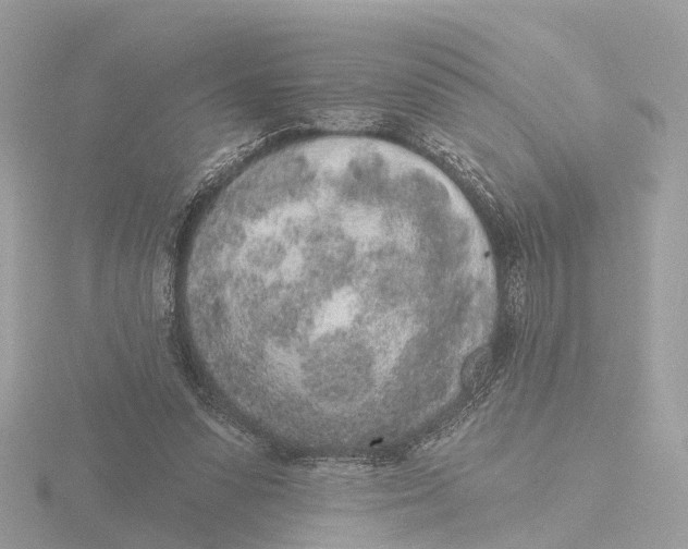 X0000116430303200912221510