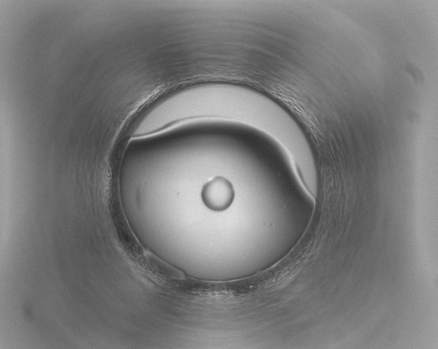 X0000116430304200912221510