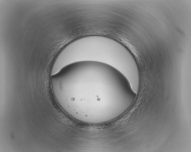 X0000116430305200912221510