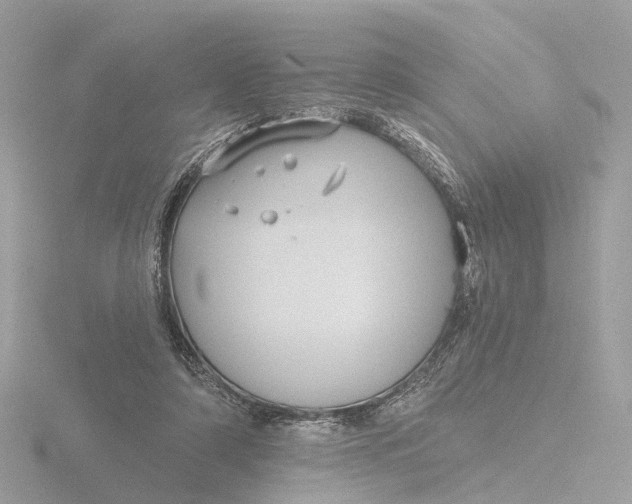 X0000116430306200912221510