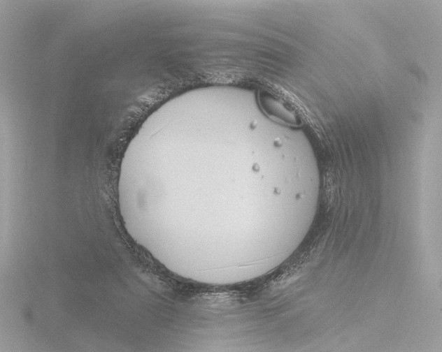 X0000116430307200912221510