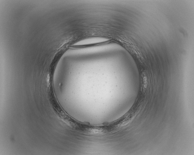 X0000116430308200912221510