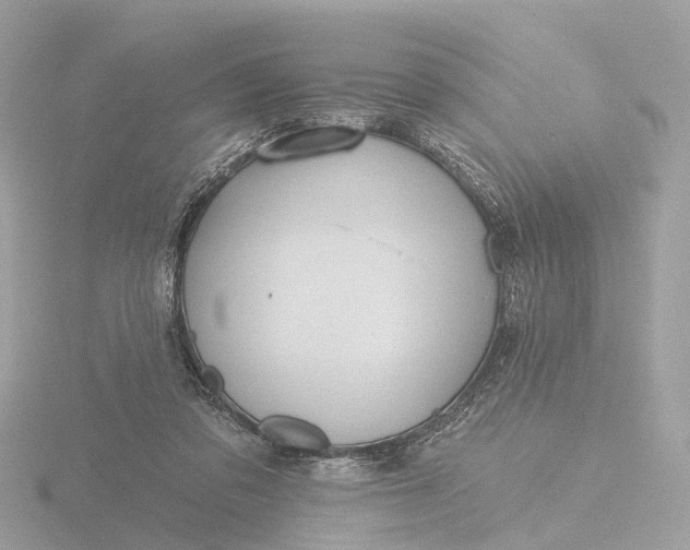 X0000116430309200912221510