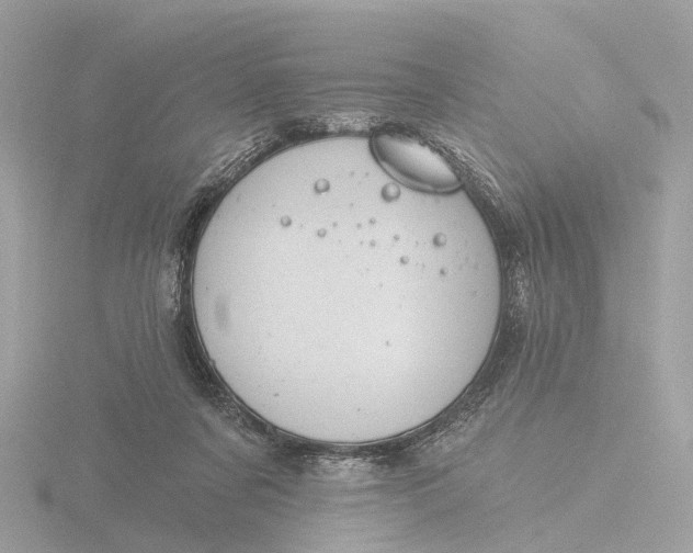 X0000116430311200912221510