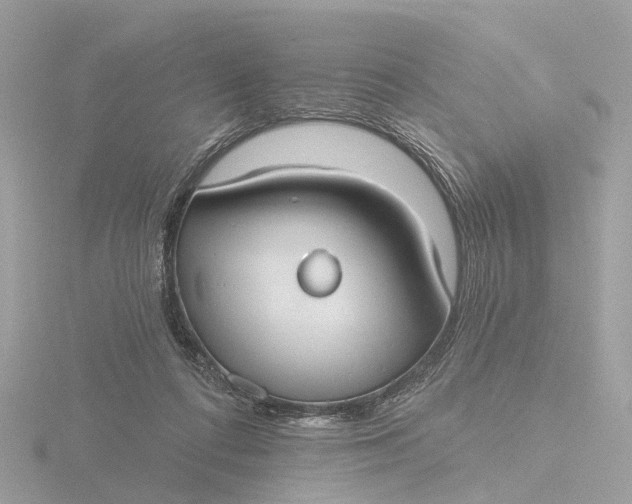 X0000116430312200912221510