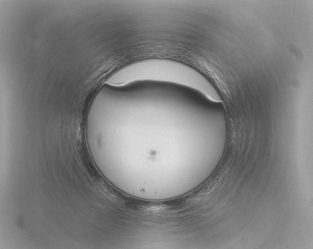 X0000116430313200912221510