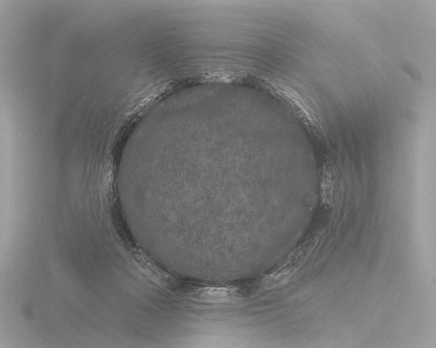 X0000116430314200912221510